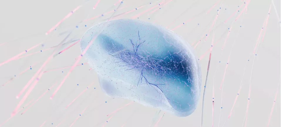 picture of a brain. illustration