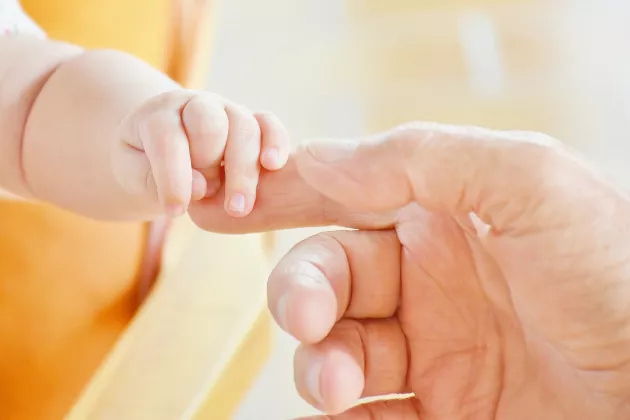 Babyhand håller en vuxen hand. Foto: Pixabay.